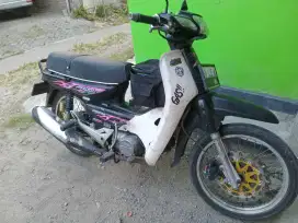 Astrea bulus 93