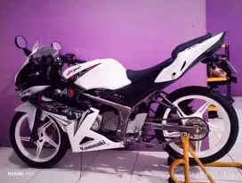 Ninja Rr pajak hdp panjang
