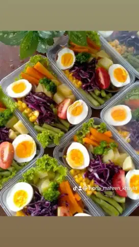 Salad sayur fress