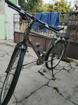 Speda Touring antik, cat asli merk Maestro