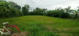 tanah cocok untuk perumahan/yayasan/gudang. harga masih per meter nego