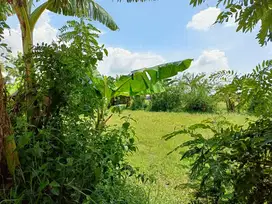 tanah pekarangan siap bangun cocok untuk dikavling
