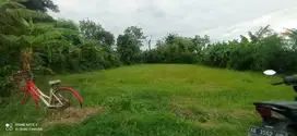 nego sampai jadi, tanah pekarangan luas tengah kota madiun