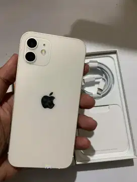 iPhone 12 128Gb Allop