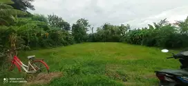 dijual tanah pekarangan utuh madiun kota murah masih bisa nego