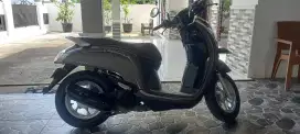 Honda scoopy 2019