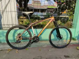 MTB wimcycle hotrod 2.1 ban 26 3x9 speed