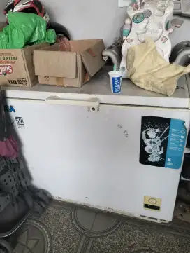 Freezer RSA Box 310 Liter