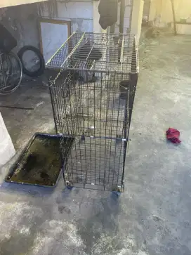 Kandung Kucing Besar