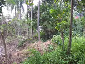 Tanah Luas 45.355 ada Batu Bolder didalamnya di Cikalongkulon, Cianjur