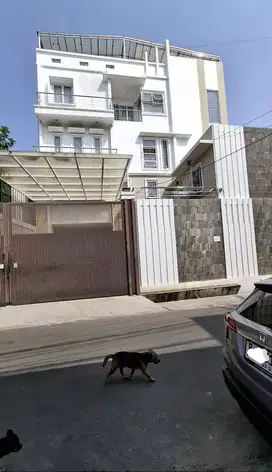 Rumah Jelambar Model Minimalis Rapi