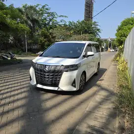 Toyota Alphard G TSS ATPM White on Biege