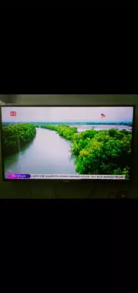 Di jul TV LED Philips 49 inch