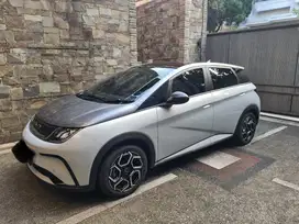 BYD Dolphin 2024 Listrik