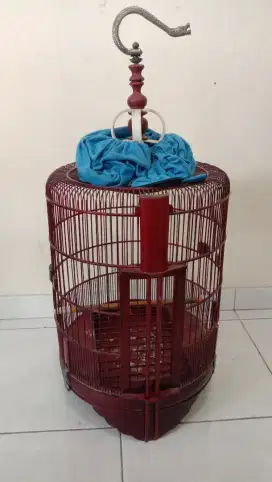 Sangkar Anis Lengkap Krodong Tinggal Pakai