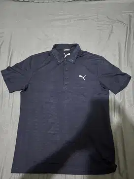 Polo Puma pribadi