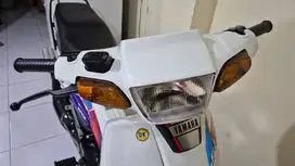 F1Z FIZ albino putih