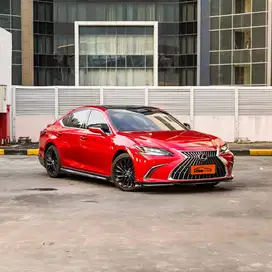 Lexus ES300h Hybrid ultra luxury 2023 pemakaian 2024 abu merah matic