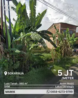 Dijual Tanah Tepi Jalan Besar, Area Sokaraja