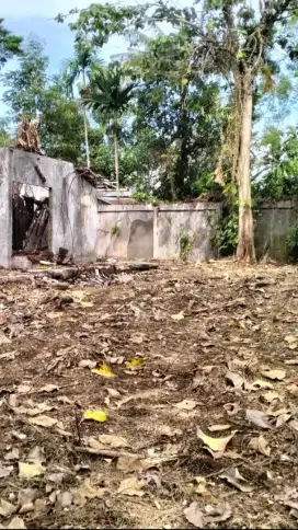 Dijual / Disewakan / Sistim kerjasama Tanah di jln Kampung Jambak