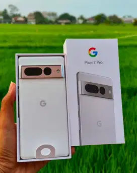Google Pixel 7 Pro 12/256 GB
