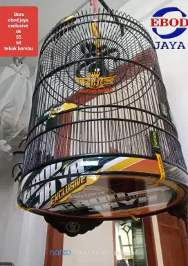 sangkar ebod jaya exclusive decal tebok bambu