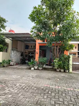 Rumah BU di Telaga Kencana Cluster, belakang SMP 34, Tlogomulyo