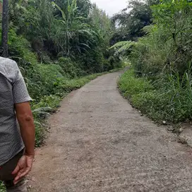 Dijual freehold tanah premium lokasi pancasari bedugul Buleleng bali.