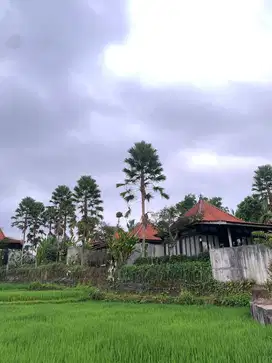 For Sale  DIJUAL RESORT di TEGALALANG UBUD, BALI