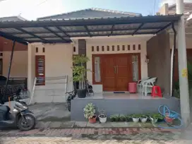 rumah idaman di Taman Anggrek Trunuh