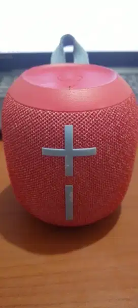 Speaker Wonderboom 2