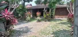 Dijual Villa Full Furnish di Desa wisata dgn Nuansa Asri