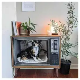 Kandang atau rumah kucing unik