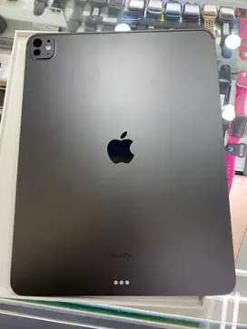 Ipad pro m4 13 inch 256 wifi only ex inter garansi juli 2026 bh 100