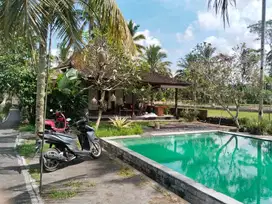 Villa Komplek view Sawah di Tegallalang Ubud Gianyar