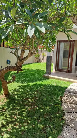 DIJUAL RUMAH SEMI VILLA LOKASI UMALAS KUWUM KEROBOKAN