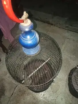 Sangkar burung Ebod Jaya