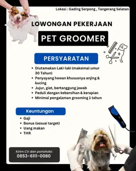 Lowongan Pekerjaan Pet Groomer Petshop | Anjing & Kucing