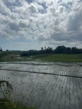 DIJUAL TANAH DEKAT PANTAI – TIBU BIU, PASUT TABANAN, BALI