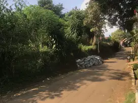 Kebun Durian Produktif,Dekat Gerbang Toll