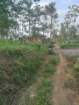 Tanah istimewa kedungrejo pakis malang