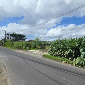 SEBIDANG TANAH DI KAWASAN PANTAI KEDUNGU, TABANAN - BALI