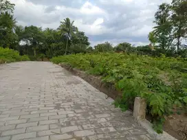 Tanah Jogjakarta dekat Pemda Sleman, sudah pagar keliling