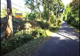 Tanah MURAH Dekat Pantai Saba BlahBatuh Gianyar