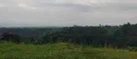 Dijual Kavlingan Cliff Taman Dayu Pandaan