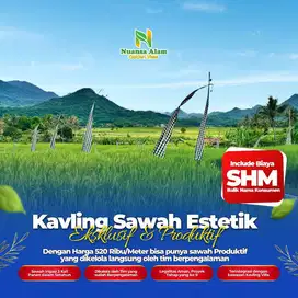 Tanah sawah murah dijual murah legalitas SHM View pegunungan yg asri