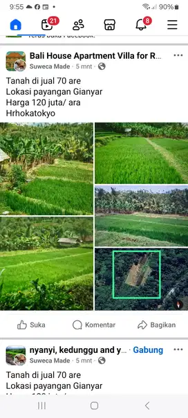Tanah termurah di Desa Payangan Ubud BUC