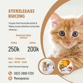 Sterilisasi Kucing Jantan & Betina Bersubsidi