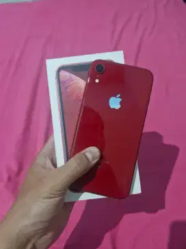 IPHONE XR 128 IBOX RED PRODUCT