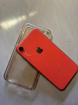 Iphone xr warna coral